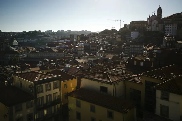 A view of the rooftops of residential buildings in the Ribeira district of Porto old town, Portugal.