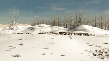 Karlı Kış Tepesi - illüstrasyon