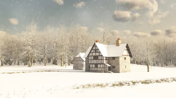 Medieval Farmhouse in Winter Snow — Stock Photo, Image