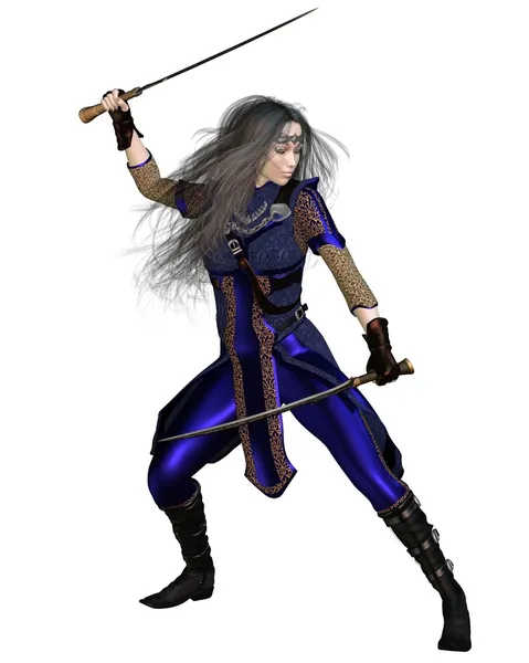 Fantasy Warrior Princess Fighting — Stock Photo, Image