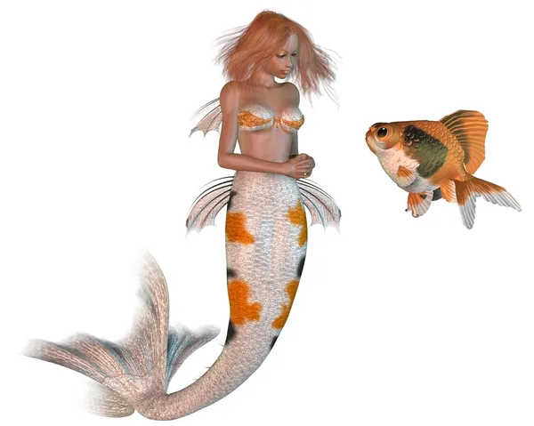 Koi-Muster Meerjungfrau und Goldfisch — Stockfoto