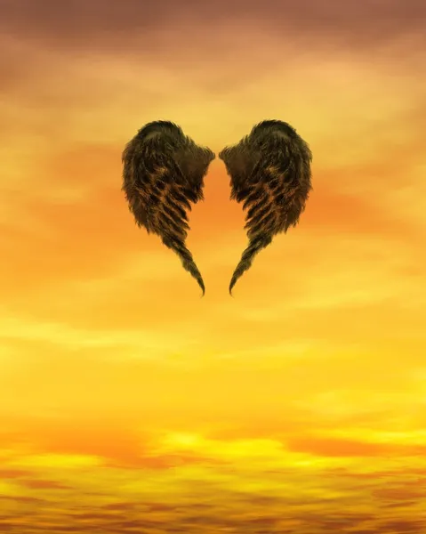 Temná andělská křídla v ohnivý západ slunce obloha — Stock fotografie