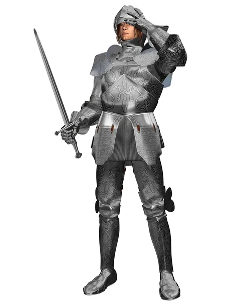 Medieval Knight in Decorated Armour — Stock Photo, Image