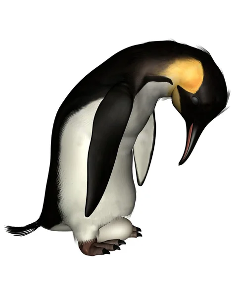 Імператорський пінгвін з яйцем — стокове фото
