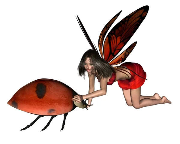 Peri Ladybird Merah - 1 — Stok Foto