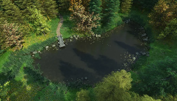 Vista aérea de um lago Woodland — Fotografia de Stock