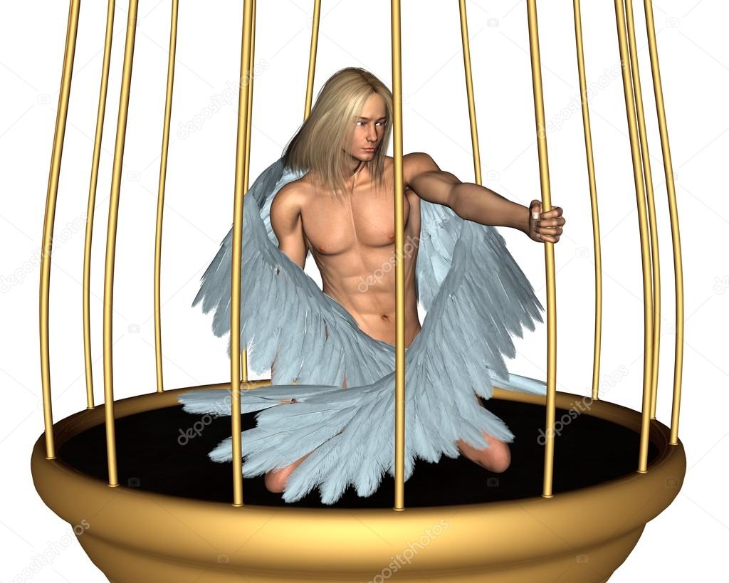 Captive Male Angel in Gold Cage
