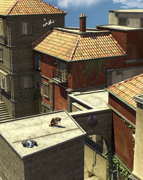 Italian Rooftop Scene — Stock Photo, Image