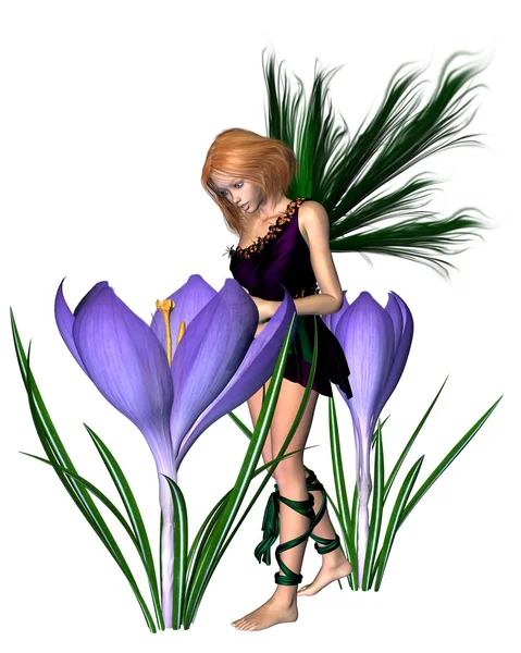 Spring Crocus Fairy - Purple — Stock Photo, Image