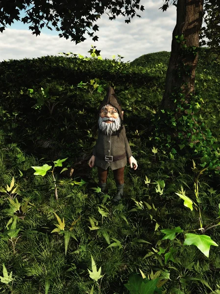 Gnome erdő — Stock Fotó