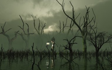 o WISP'ye bir sisli bataklık'olacak