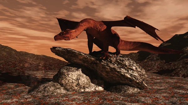 Red Dragon on a lava flow — Stock Photo, Image