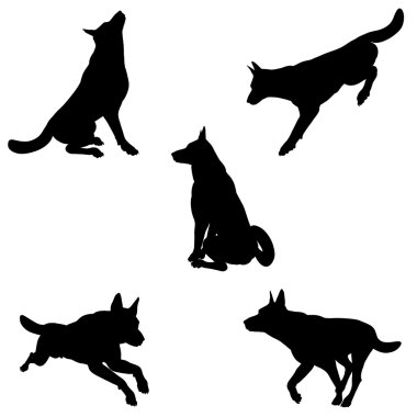 köpek silhouettes - 1