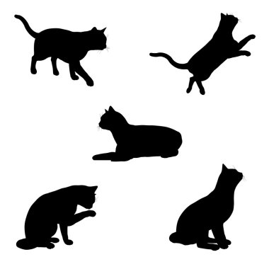 kedi silhouettes - 1