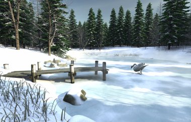 buzlu kış Kuğu Gölü