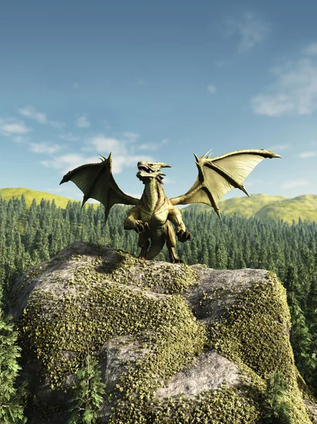 Dragon vert perché sur un rocher — Photo