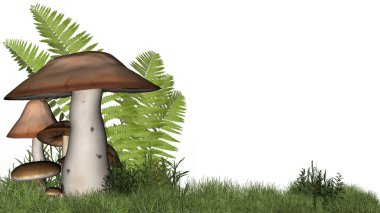 beyaz boşaltmak ile orman bitki