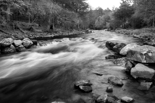 Creek perdido preto e branco — Fotografia de Stock