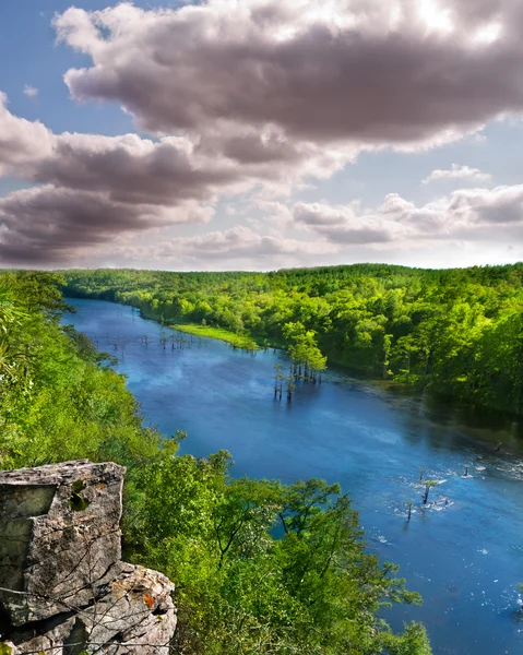 Bosque y río de América del Norte Imagen de archivo