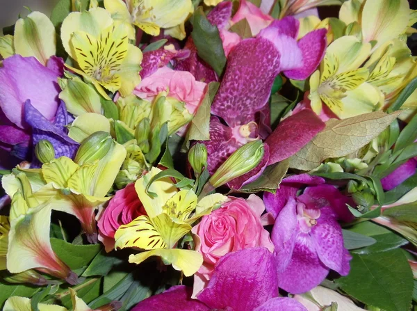 A bunch of natural flowers as a background. — Stock Photo, Image