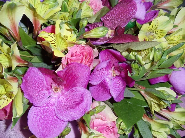 Orkidéer på en blomma bakgrund. en födelsedag bukett. — Stockfoto