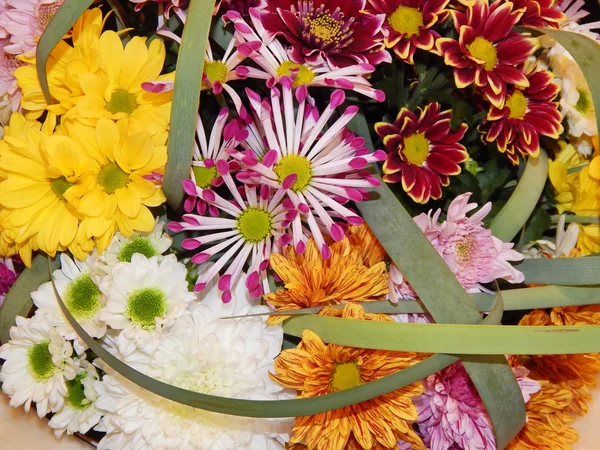 Bakgrund. en del av en blommig komposition. internationell utställning "blommor expo 2013", Moskva. september, 2013. — Stockfoto