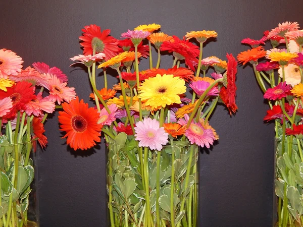 Tre klasar av Gerbera i glas vaser mot svart bakgrund. internationell utställning "blommor expo 2013", Moskva. september, 2013. — Stockfoto