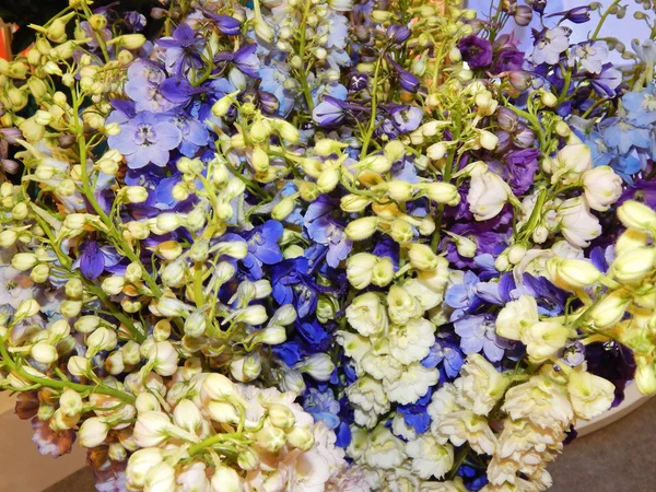 Un mazzo di bellissimi fiori blu e whire.Mostra internazionale "Flowers Expo 2013", Mosca. settembre 2013 . — Foto Stock