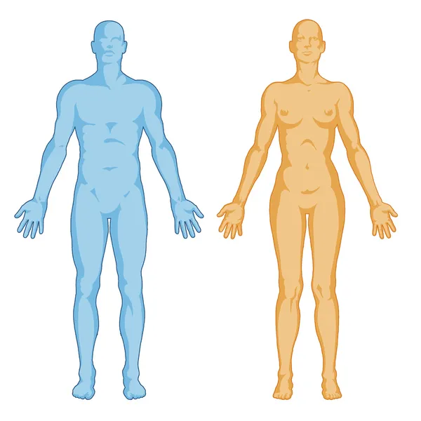 Female male body shapes – human body outline - anterior view - full body — Stockfoto