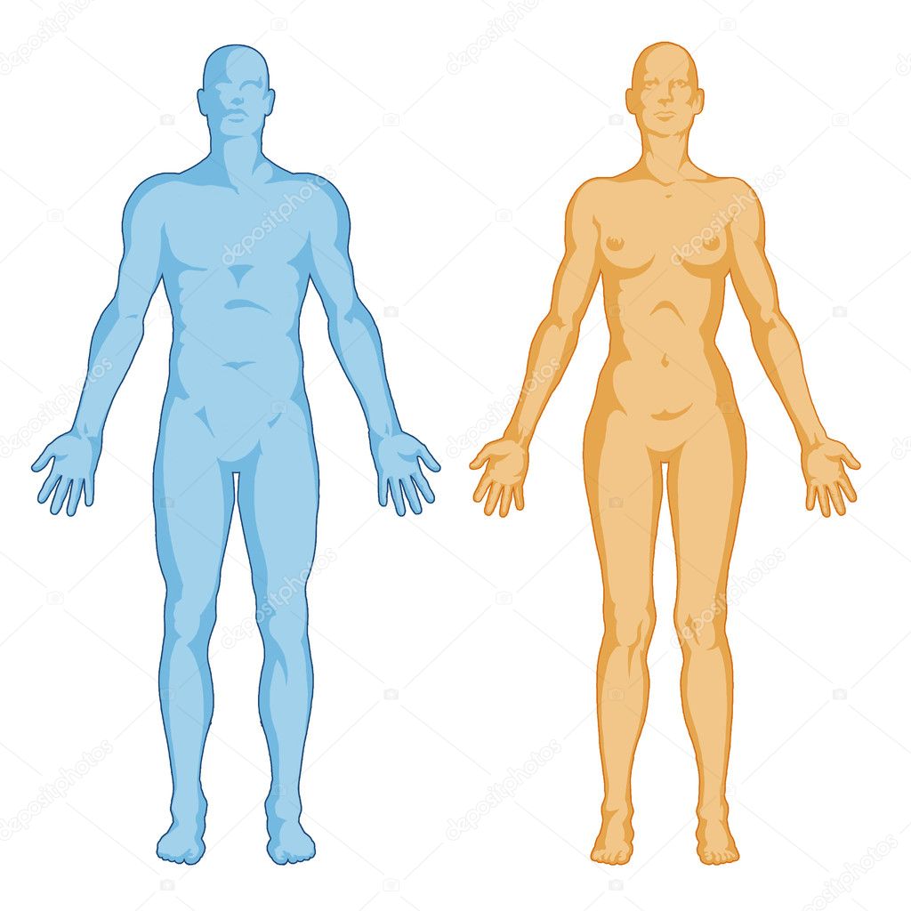 Female male body shapes – human body outline - anterior view - full body