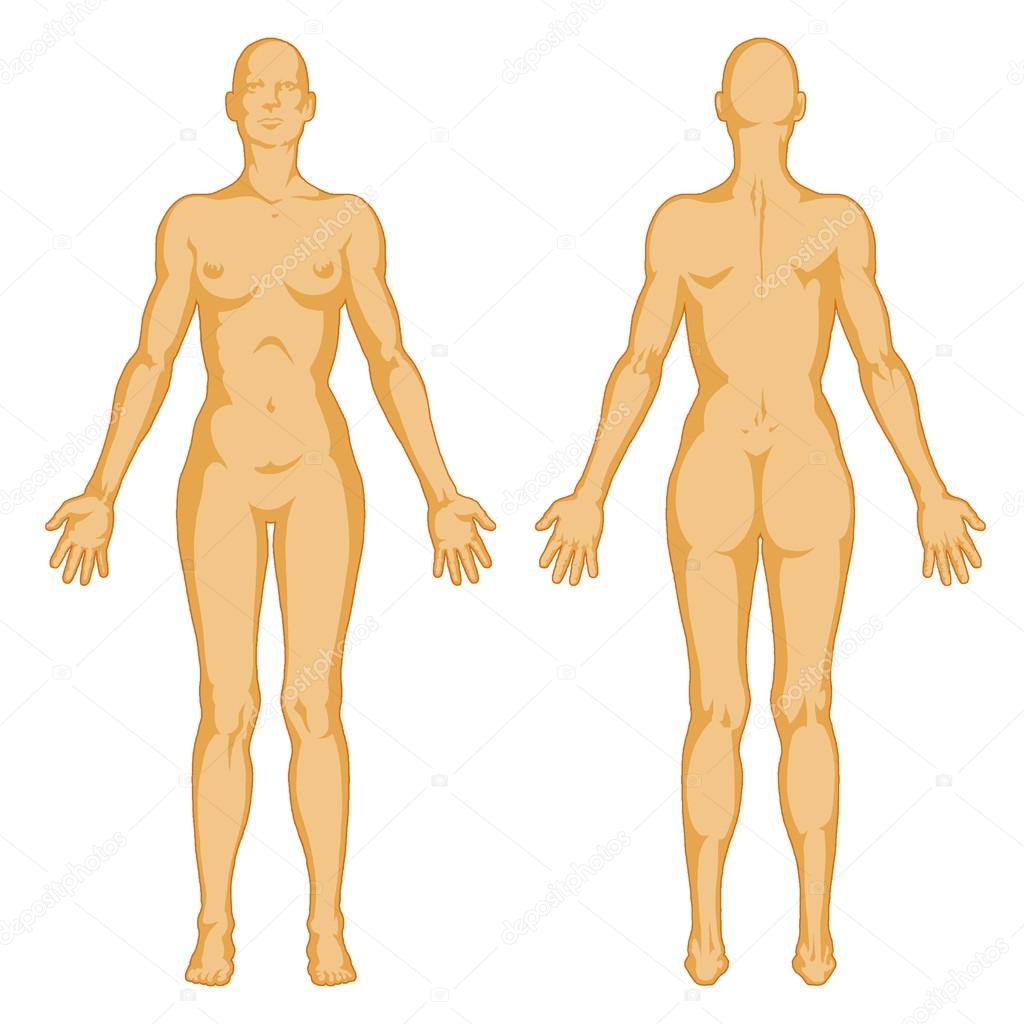 Female body shapes – human body outline - posterior and anterior view - full body