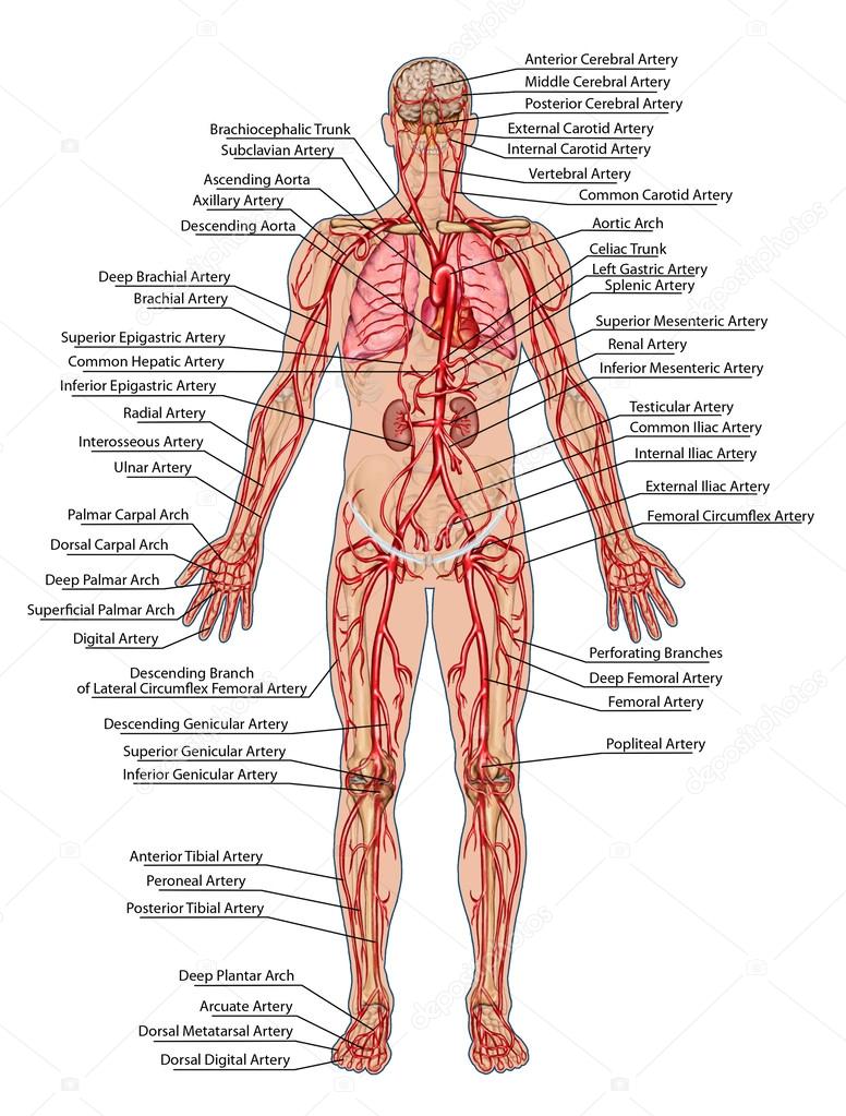 download progress in diagnostics and