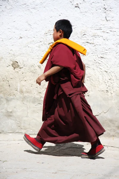 Monge do Tibete — Fotografia de Stock