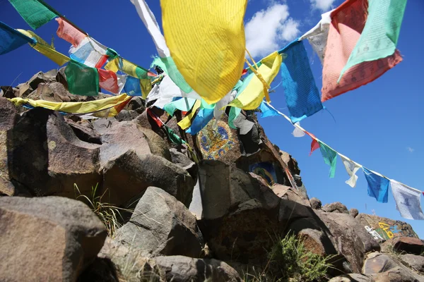 Tibet roef dünya — Stok fotoğraf