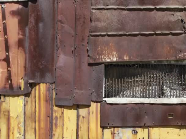 金属製の壁と古い納屋 — ストック動画