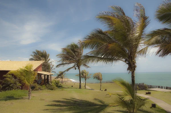 Plaża w pipa, brazil — Zdjęcie stockowe