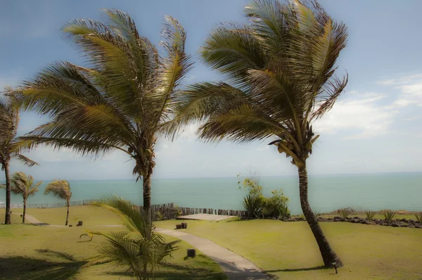 Praia em Pipa, Brasil Fotografia De Stock