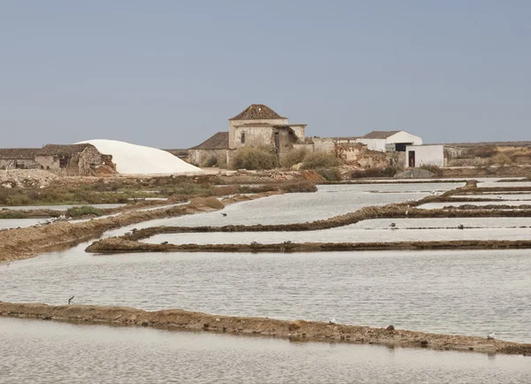 Salt production Royalty Free Stock Images