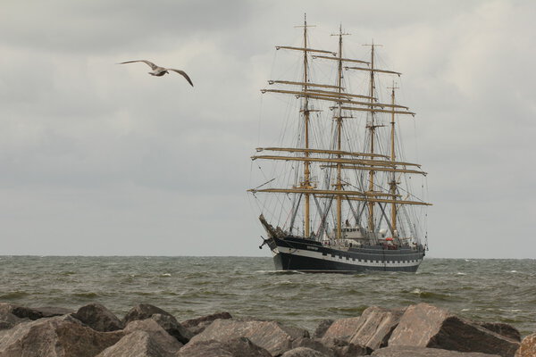 Парусник "Крузенштерн"
