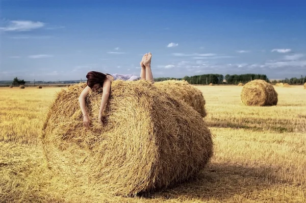 On the haystack — Stock Photo, Image