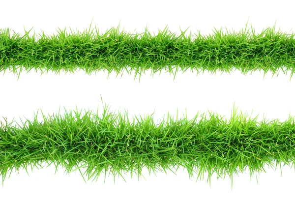 Grass — Stock Photo, Image