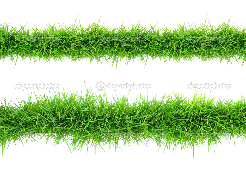 grass