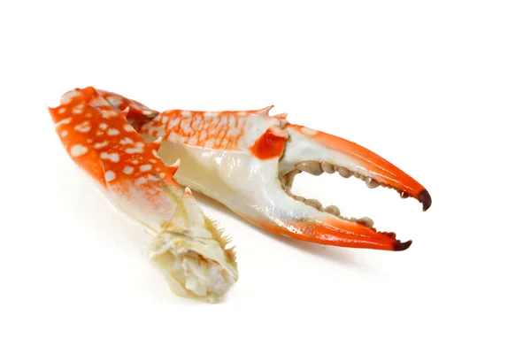 Steamed Crab Leg — Stock Photo, Image