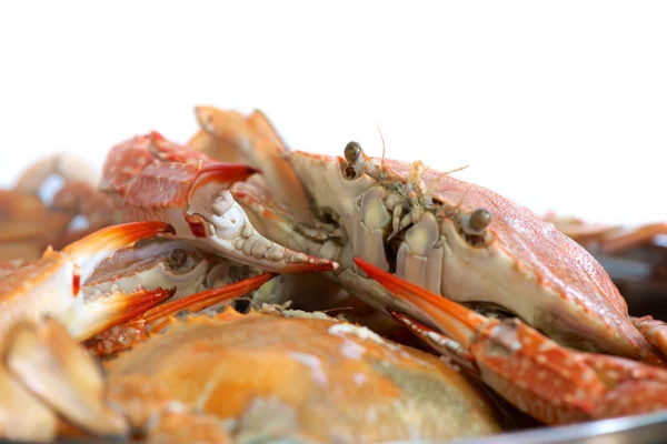 Steamed crabs — Stock Photo, Image