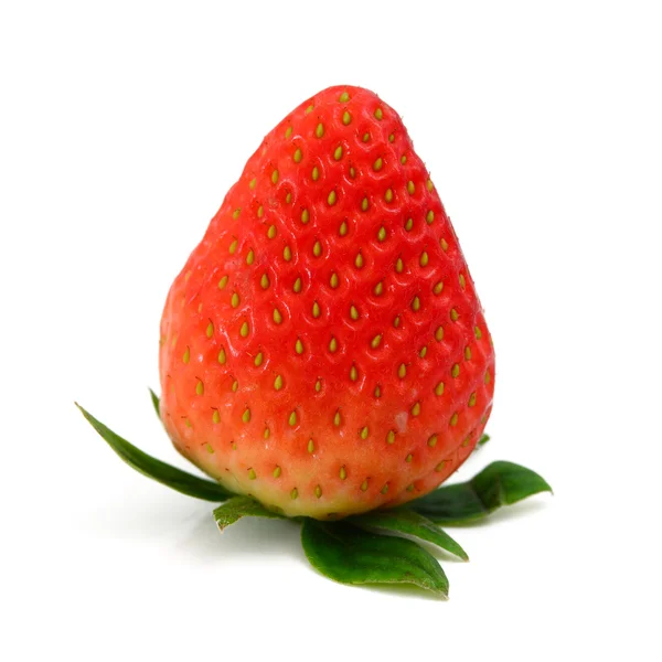 Fragola — Foto Stock