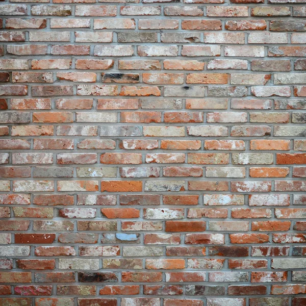 Bakstenen muur — Stockfoto