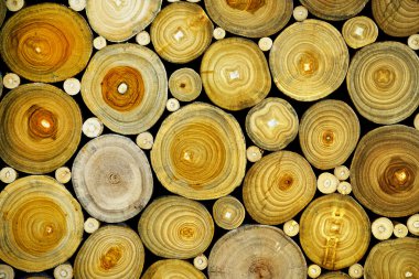 Woodpile