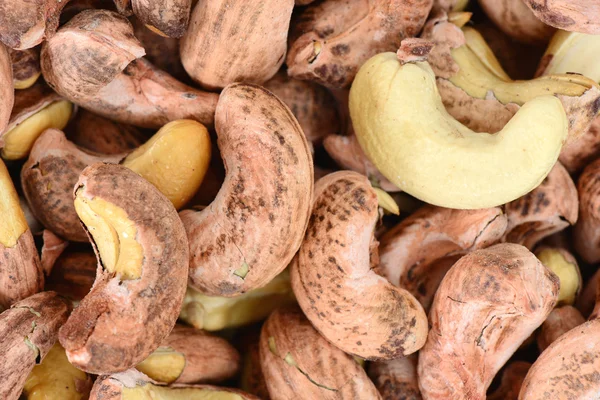 Cashews with shell — Stock Photo, Image