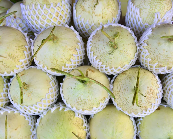 Cantaloupe melons — Stock Photo, Image