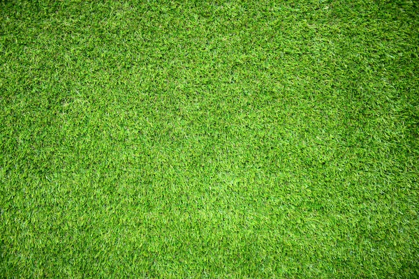 Grass field — Stock Photo, Image